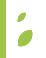 Beekman Logo Graphic